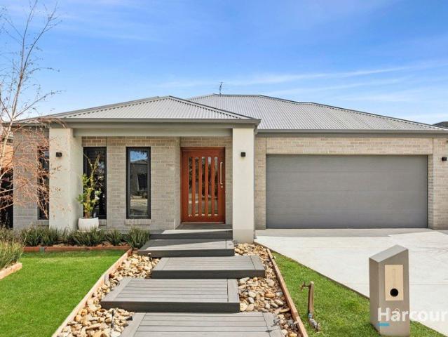 Contemporary Family Living in Wattle Grove