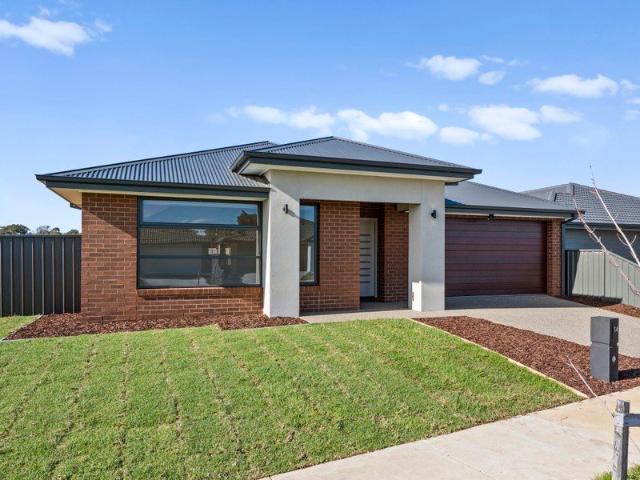 Contemporary Family Living in a Brand New Home