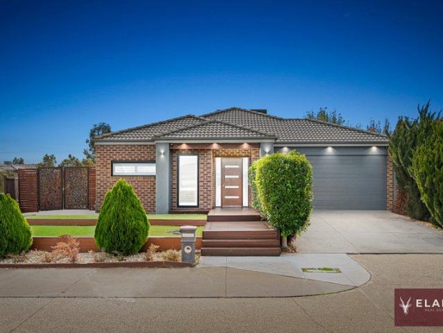 Contemporary Family Living on 519m² Approx. Corner Position with Solar & Exceptional Outdoor Entertaining