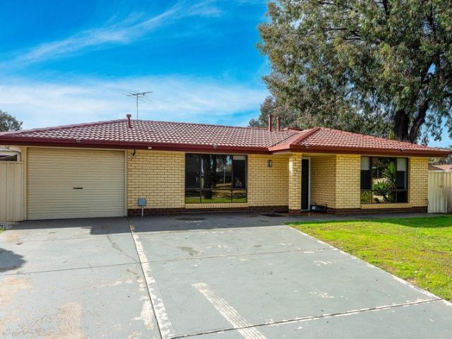 Contemporary Home Entertainer on Generous 595m2 Block!