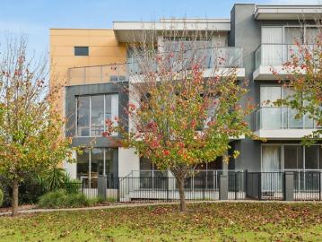 Contemporary Living & Investment Opportunity in Lightsview