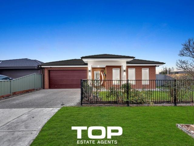 Contemporary Living with Room for Everyone