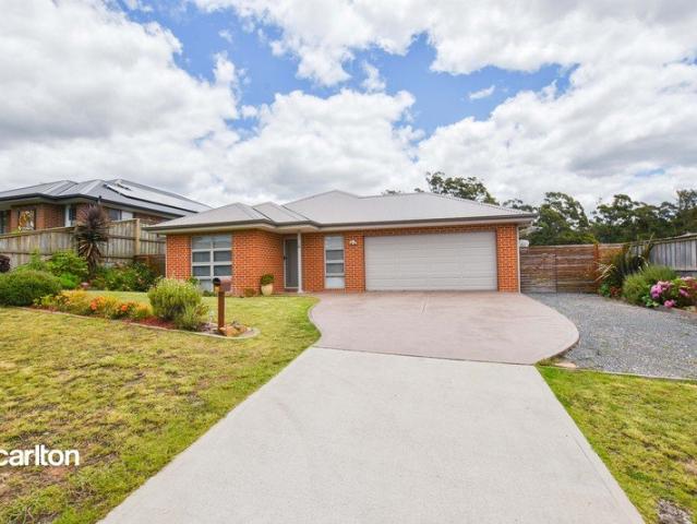 CONTEMPORARY LIVING