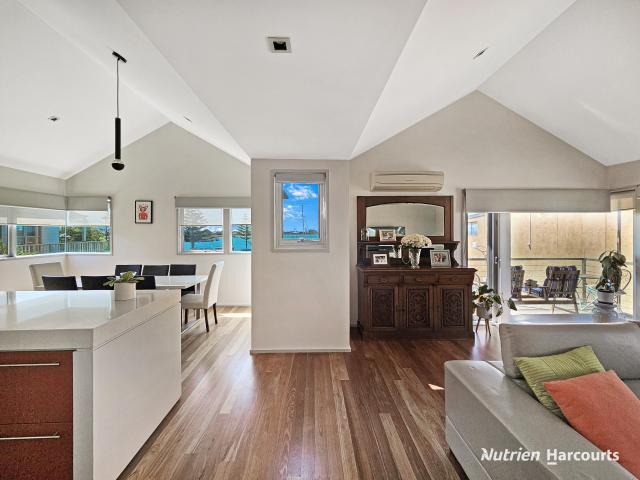 Contemporary Modern Perfection