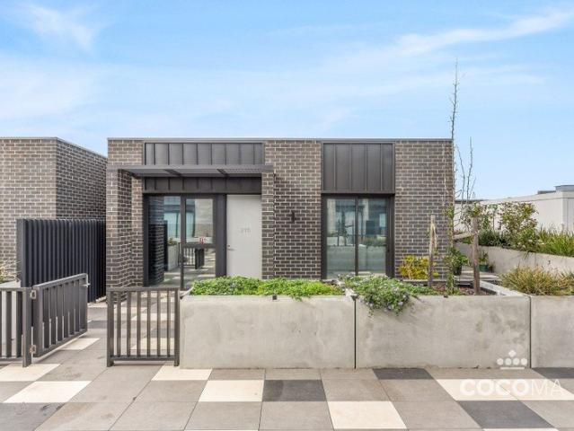 Contemporary minimalist luxe finishes inside and out, low maintenance courtyards
