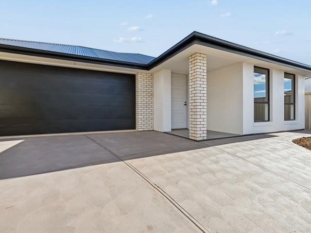 Contemporary New Build in Seaford Rise