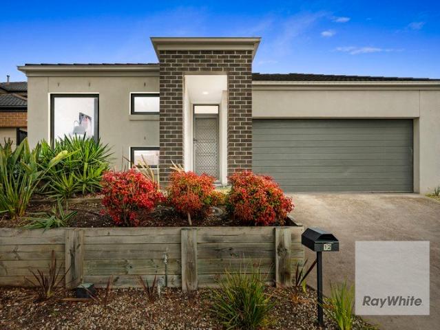 Contemporary Spacious Family Living in a Prime Location