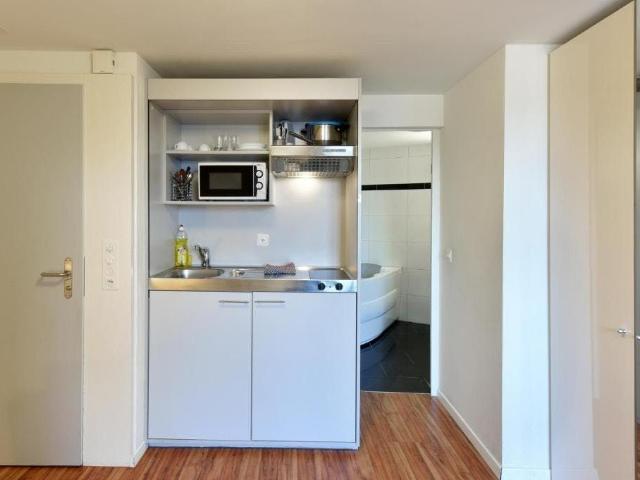 Contemporary Studio Apartment in Zurich Near the City Centre, Zurich Amsterdam Apartments for Rent