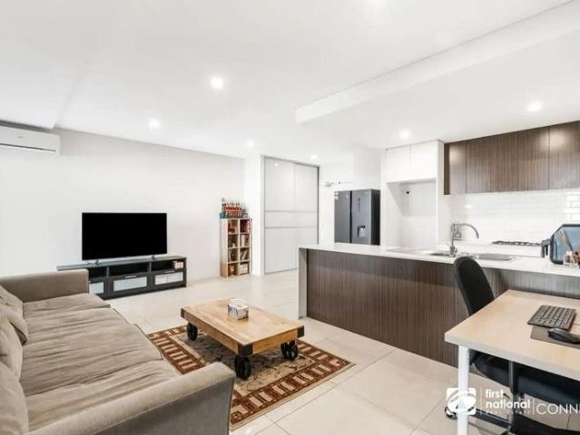 Contemporary, Suburban Sanctuary