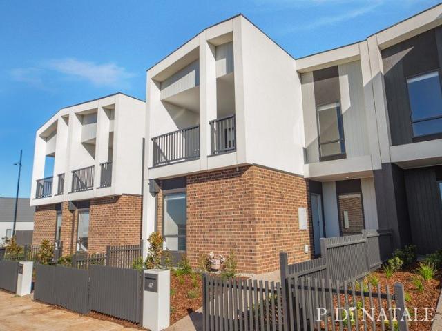 CONTEMPORARY REVERSE LIVING IN THE SOUGHT AFTER WOODLEA ESTATE