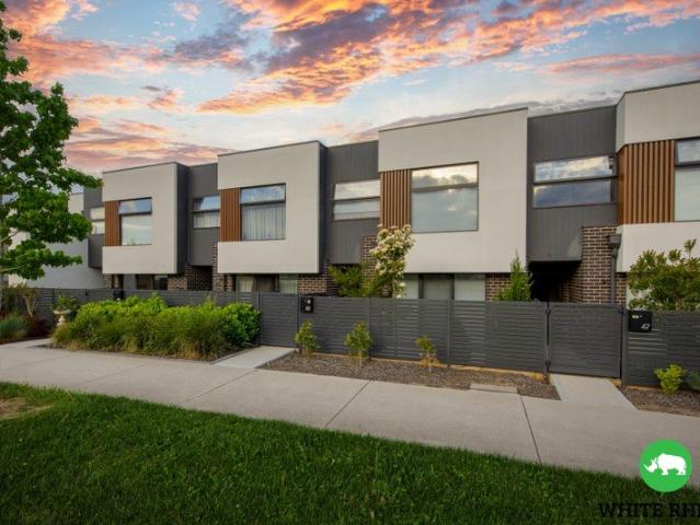 Contemporary Two Storey Living with Space for Everyone