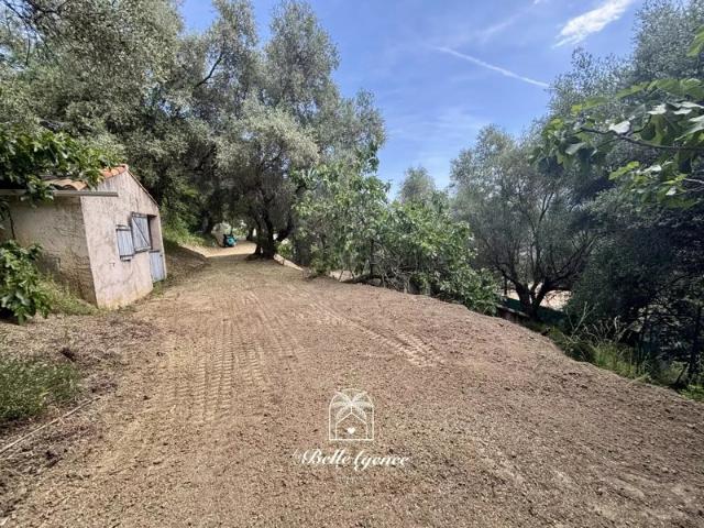 Contes Las Ayas Terrain constructible 2385m² Permis accordé Thomas