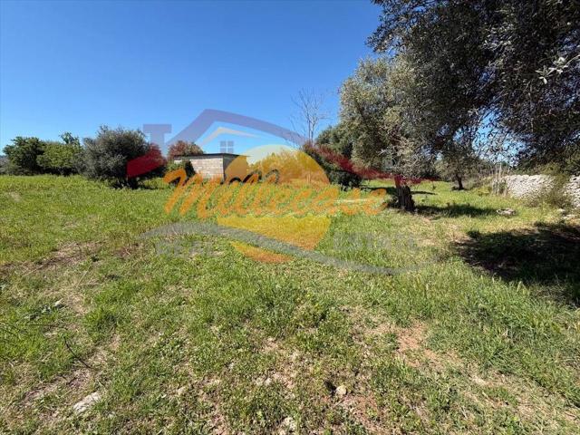 Strada Monasteri 12 quadrilocale 145mq