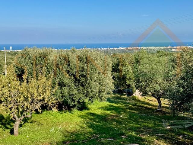 Contrada San Vincenzo 11470mq