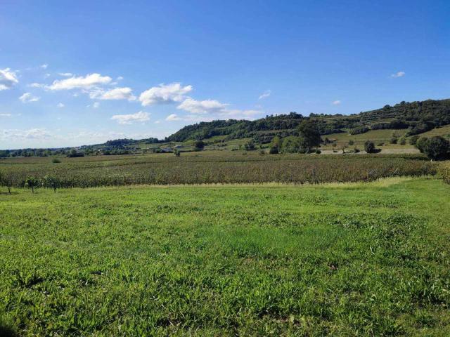 Contrada Selva 52 monolocale 1778mq