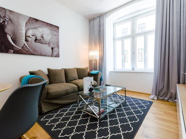 Convenient Business Apartment in central location right on the first floor