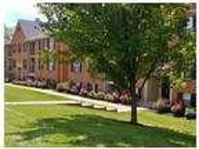 Convenient location 1 bed 1 bath for rent