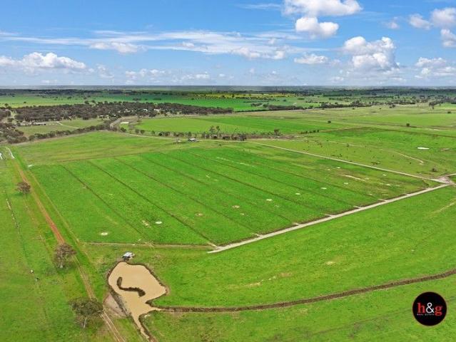 CONVENIENTLY LOCATED DAIRY FARM