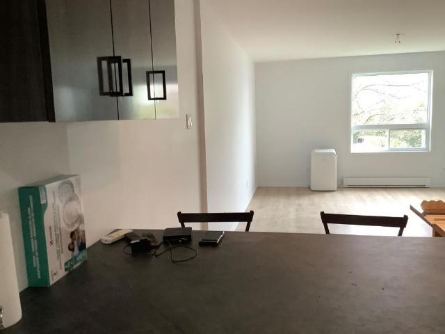 Condo 4 1/2 bord du fleuve rénove à louer ou vendre