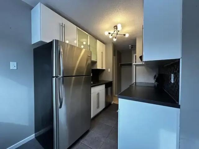 Condo 1 Bedroom For Rent Edmonton AB 1250 ES105755498