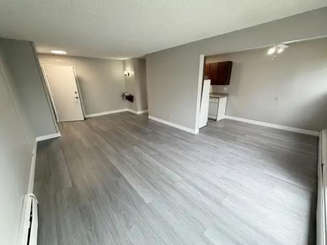 Condo 1 Bedroom For Rent Edmonton AB 1275 ES106044664