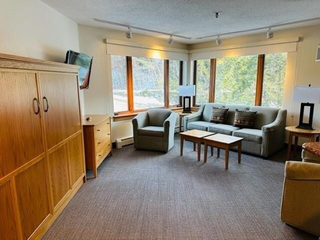 condo with 1 bedroom, Lincoln NH ES105512174
