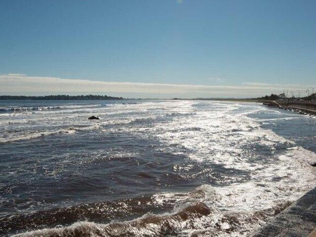 condo with 1 bedroom, Lynn MA DS104480497