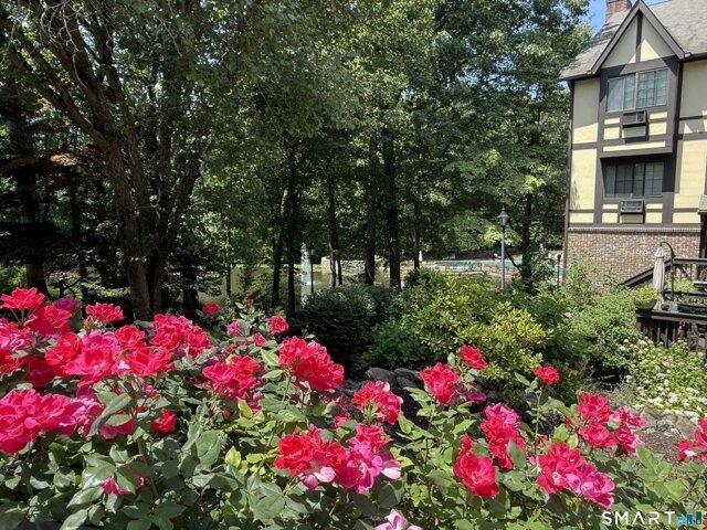 condo with 1 bedroom, Norwalk CT ES104869664
