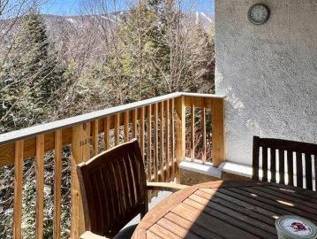 condo with 2 bedroom, Warren VT DS103434519