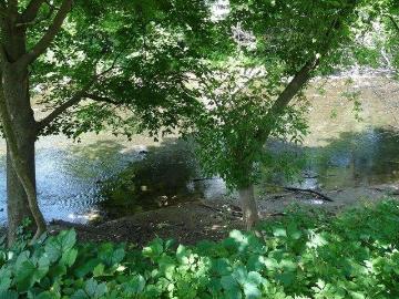 condo with 2 bedroom, Montpelier VT ES103438862