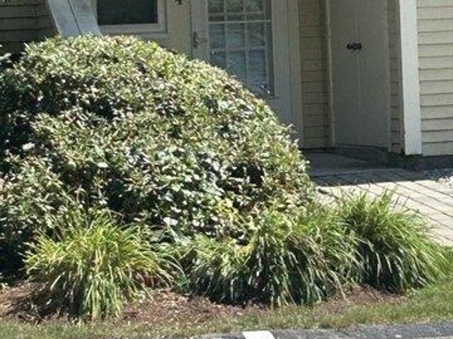 condo with 2 bedroom, Northbridge MA ES105353005