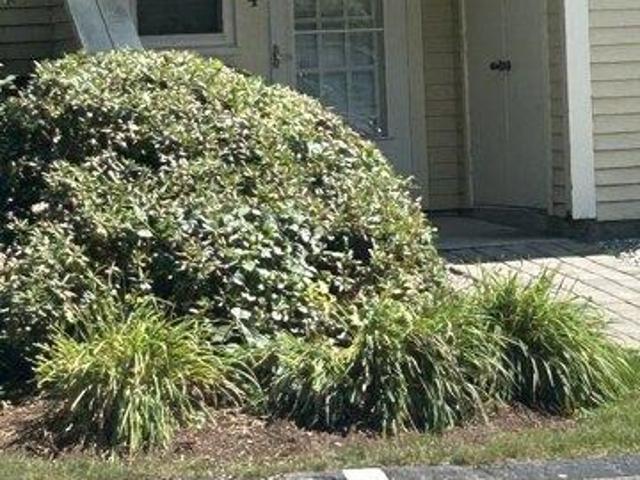 condo with 2 bedroom, Northbridge MA ES105561804