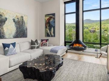 condo with 3 bedroom, Stowe VT DS103160230