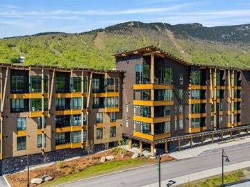 condo with 3 bedroom, Stowe VT DS103126660