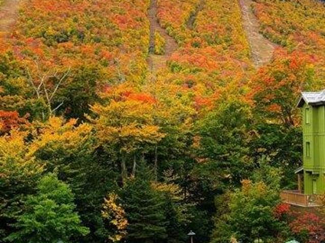 condo with 4 bedroom, Stowe VT ES105558918