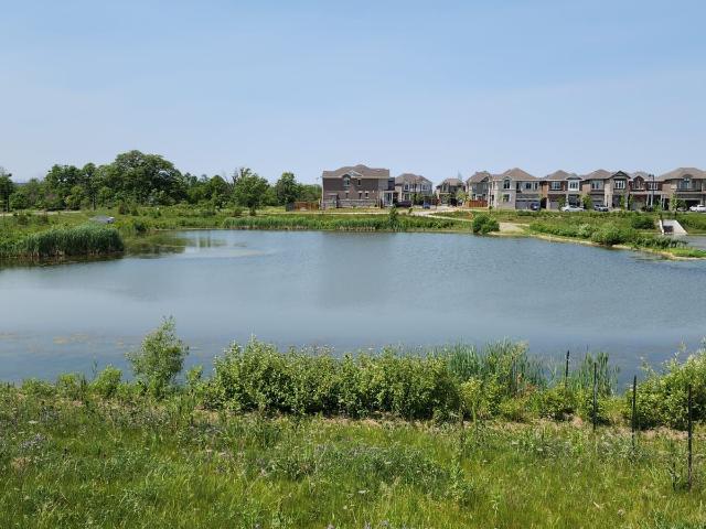 Condo Apartment Property