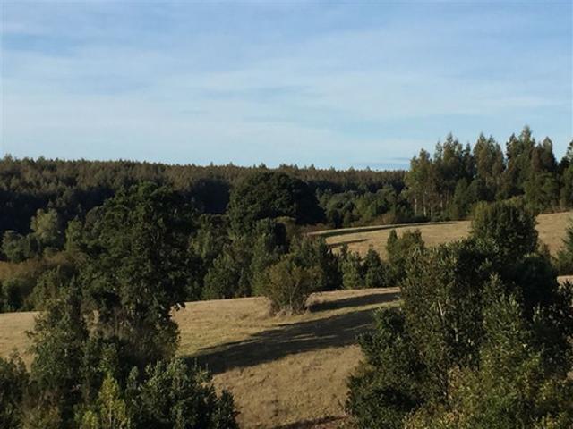 CONDOMINIO CON AGUA DE POZO LOS MUERMOS PUERTO VARAS