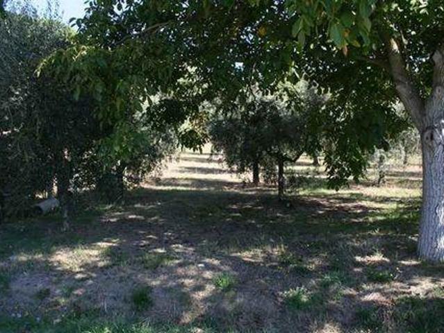 Condominio 2 camere da letto, Tuoro Sul Trasimeno Umbria DLS96308808