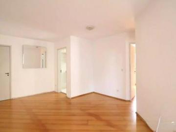 Elegante apartamento para venda em Vila Santa Catarina com 2 quartos, 55m²