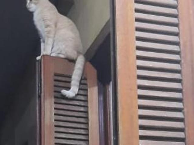 Conforto e praticidade