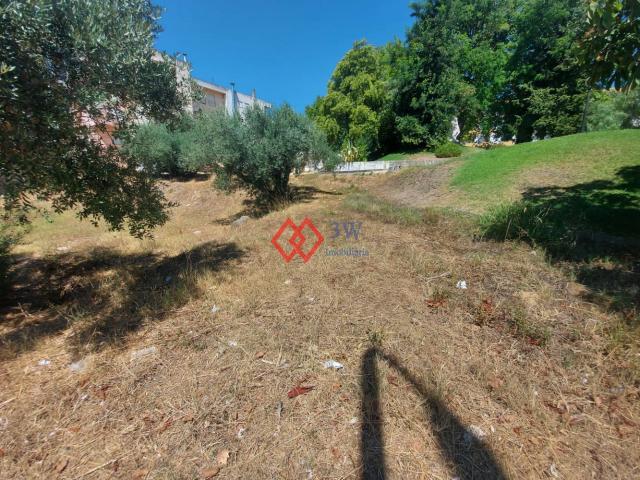 Conjunto 2 Lotes de Terreno Torres Novas