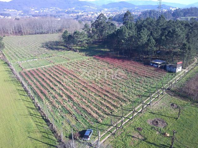 Conjunto Agrícola em Barreiros, Amares