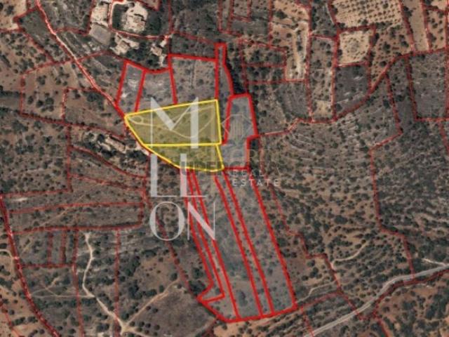 Conjunto de 2 terrenos rústicos área total superior a 12.000 m² CERRO GRANDE, PADERNE
