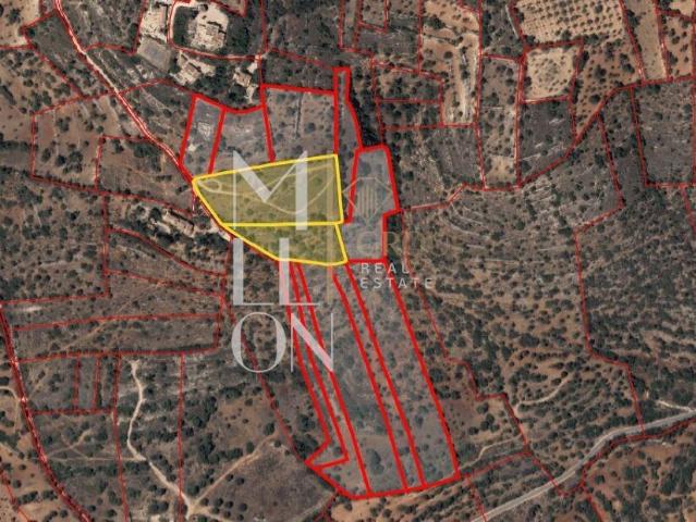 Conjunto de 2 terrenos rústicos área total superior a 12.000 m²– CERRO GRANDE, PADERNE