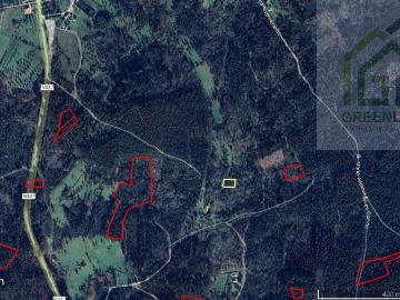 Conjunto de terrenos zona florestal em Pousadouros