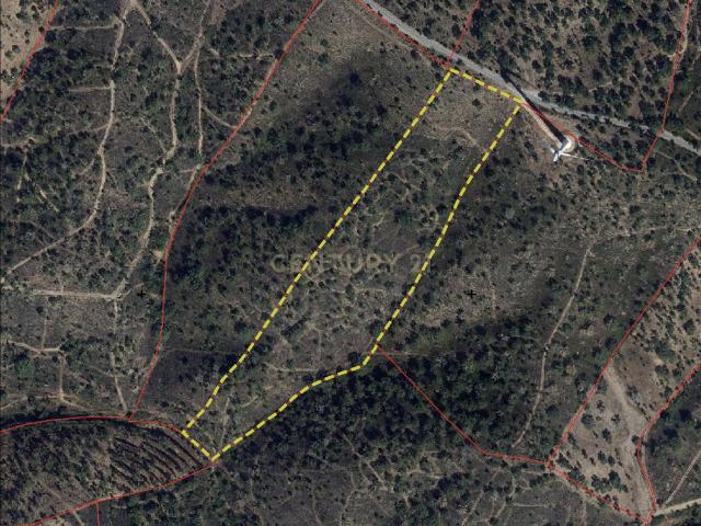 Conjunto de Terrenos em Cansados, São Barnabé – Almodôvar, Baixo Alentejo