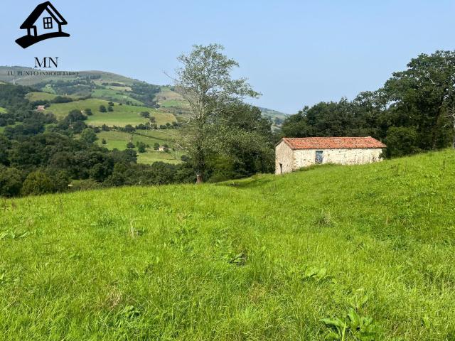 CONJUNTO DE CASA DE CAMPO, DOS CABAÑAS PASIEGAS Y FINCA RUSTICA EN VILLACARRIEDO