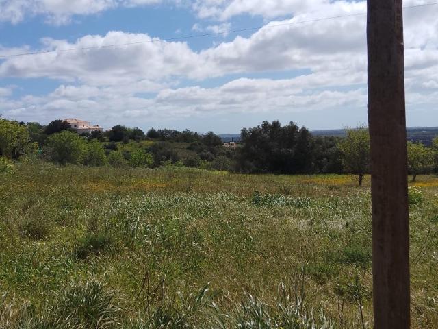 Conjunto de dois terrenos rústicos com 1635m2 sitos na Franqueira, Silves