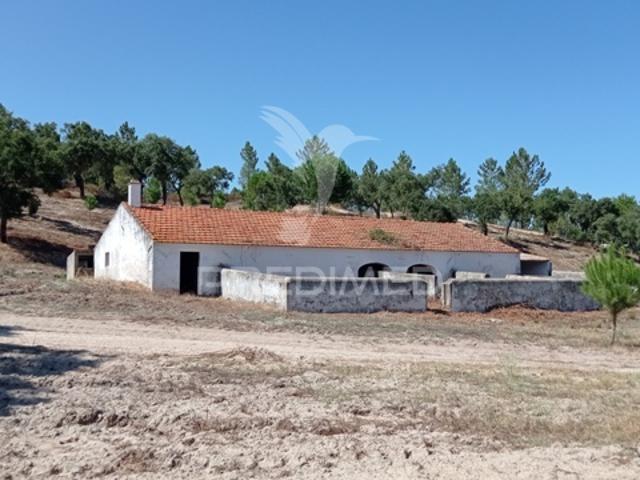 Conjunto de duas herdades 71,70 hectares, junto à vila de Mora