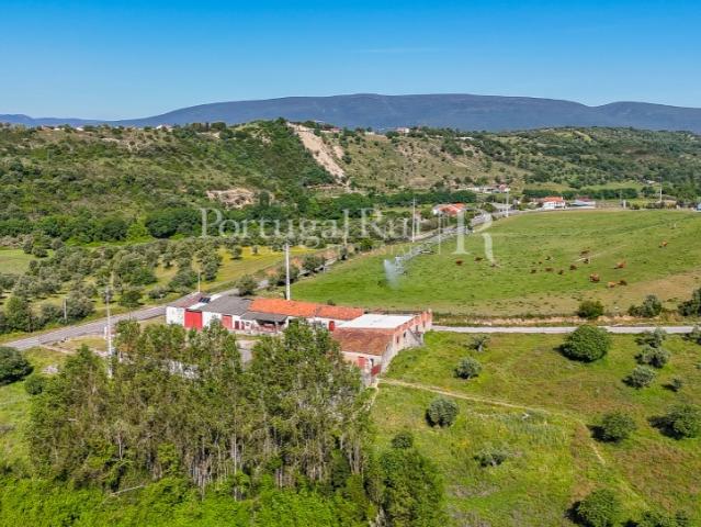 Conjunto de duas propriedades contíguas com 13 hectares, Torres Novas